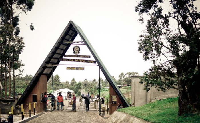 Mount Kilimanjaro Climbing Adventure Safari Marangu Route