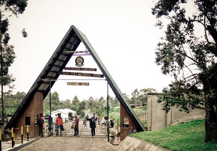 Mount Kilimanjaro Climbing Adventure Safari Marangu Route